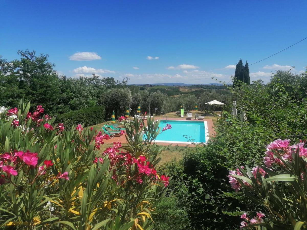 Agriturismo Terre Di Toscana Terricciola Экстерьер фото