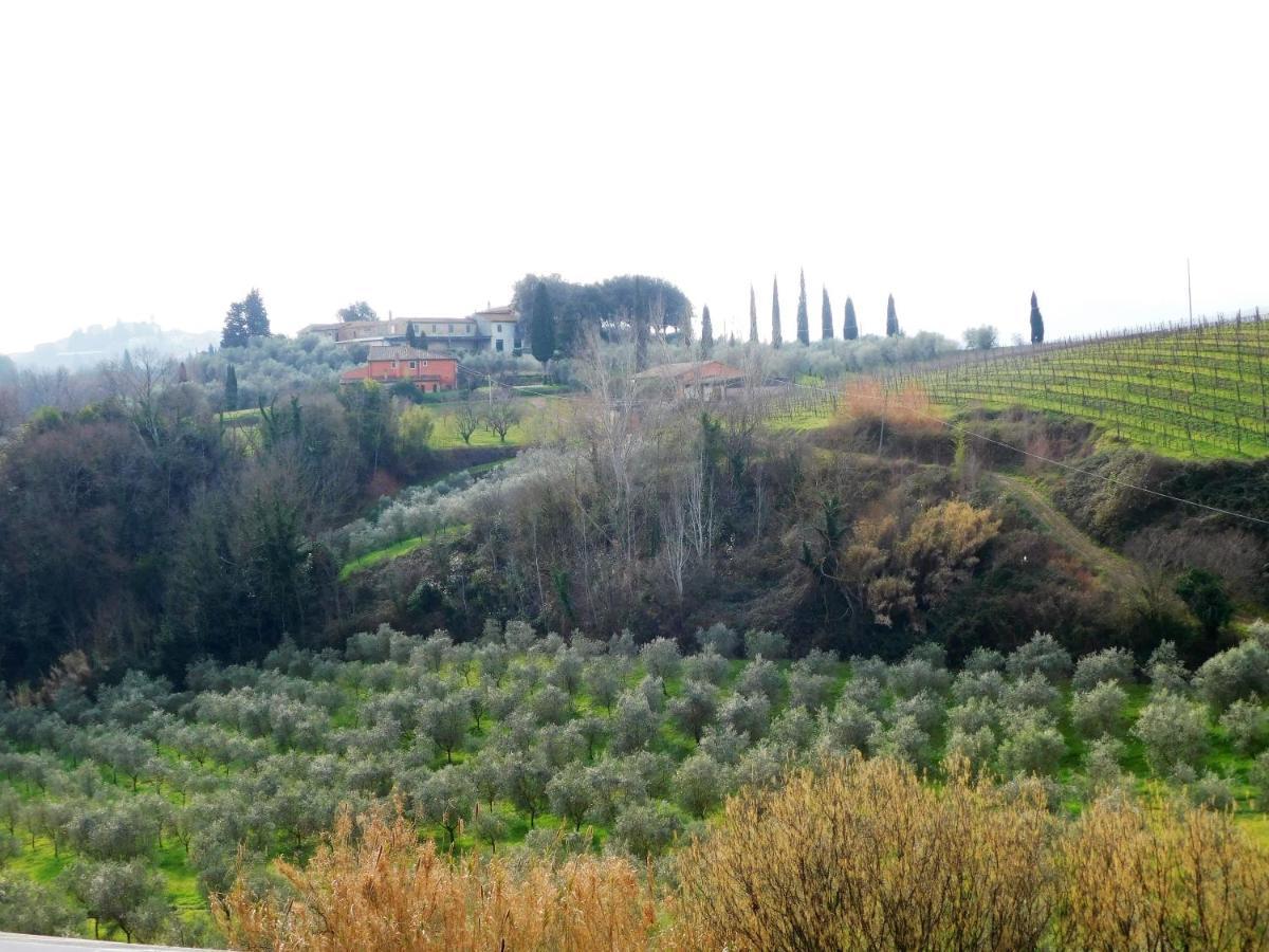 Agriturismo Terre Di Toscana Terricciola Экстерьер фото