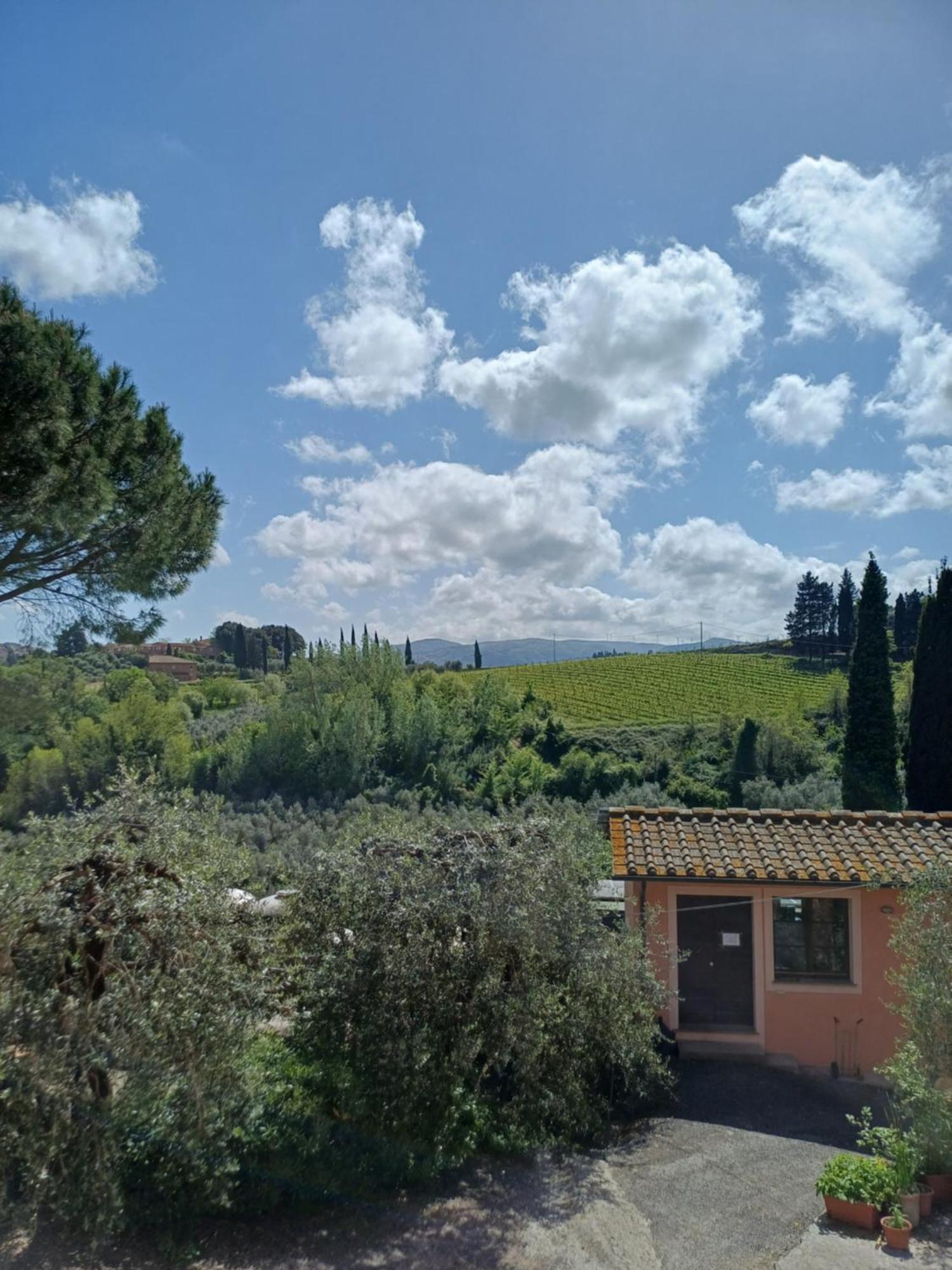 Agriturismo Terre Di Toscana Terricciola Экстерьер фото